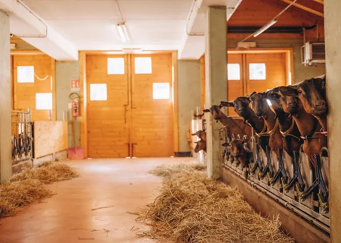 Les De Pierrot Cogne
